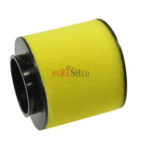 Honda Air Filter  17254-HC5-900