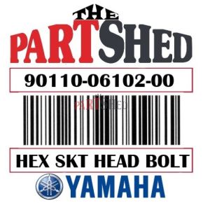 Yamaha BOLTHEX SKT HEAD 90110-06102-00